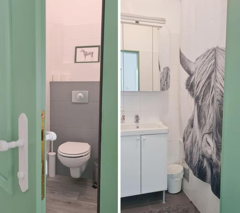 רייכנאו Cosy Family Apartment מראה חיצוני תמונה