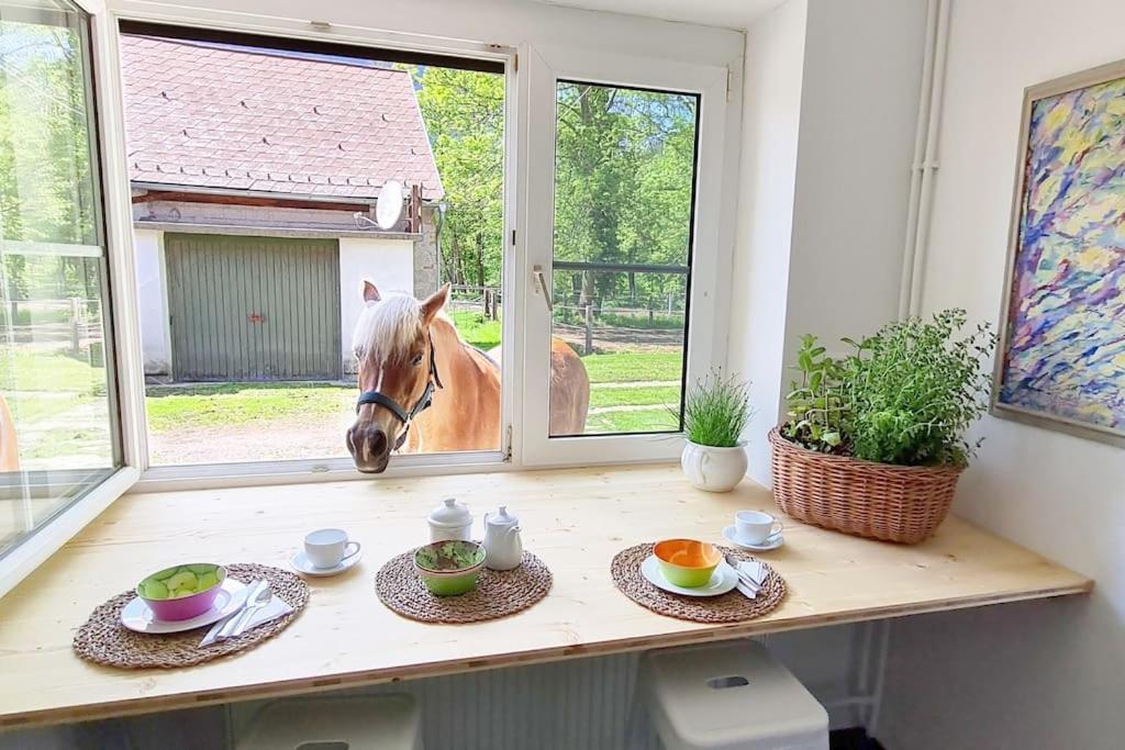 רייכנאו Cosy Family Apartment מראה חיצוני תמונה